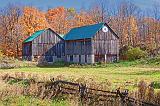 Autumn Barn_24195